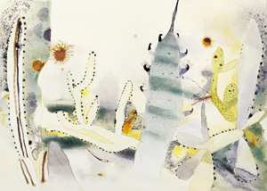 Cactus Garden, Hyeres